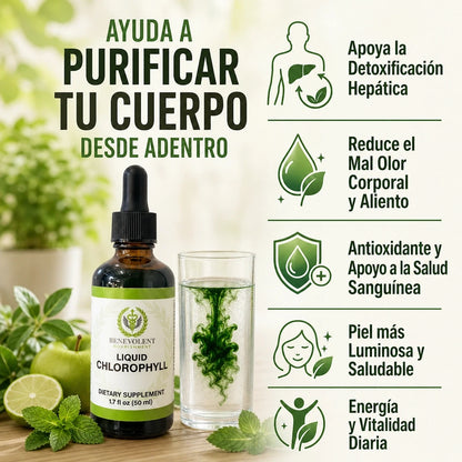 💚 CLOROFILA DETOX Líquida | Frescura Natural para tu Rutina Diaria 🌿✨ ENVÍO GRATIS