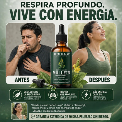 MULLEIN DETOX PULMONAR 120 ML 🌿💧 — Gotas de Gordolobo para Apoyo Respiratorio y Bienestar Diario 😮‍💨✨