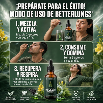 MULLEIN DETOX PULMONAR 120 ML 🌿💧 — Gotas de Gordolobo para Apoyo Respiratorio y Bienestar Diario 😮‍💨✨