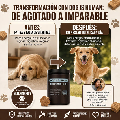 DOG IS HUMAN DAILY MULTIVITAMIN 🐶✨ Nutrición Premium 100% Human-Grade para un Perro Más Vital, Activo y Feliz — ¡Envío Gratis!