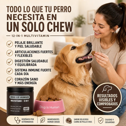 DOG IS HUMAN DAILY MULTIVITAMIN 🐶✨ Nutrición Premium 100% Human-Grade para un Perro Más Vital, Activo y Feliz — ¡Envío Gratis!