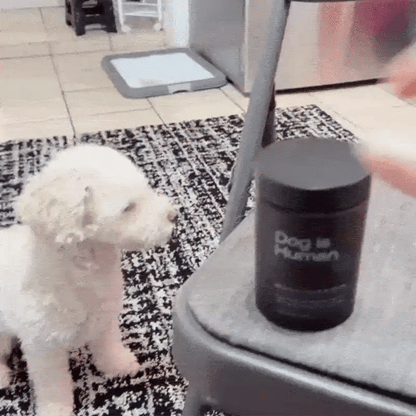 DOG IS HUMAN DAILY MULTIVITAMIN 🐶✨ Nutrición Premium 100% Human-Grade para un Perro Más Vital, Activo y Feliz — ¡Envío Gratis!